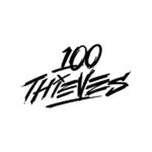 @100thieves.apparel profile image