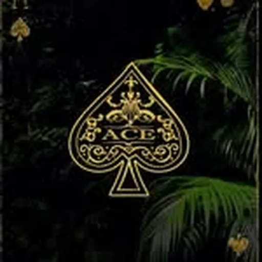 @aceloungedc profile image