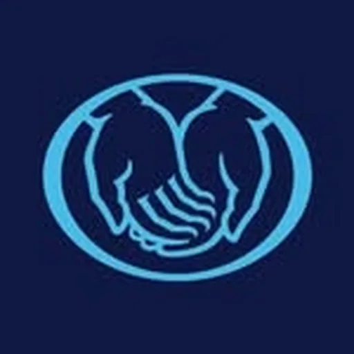 @allstate profile image