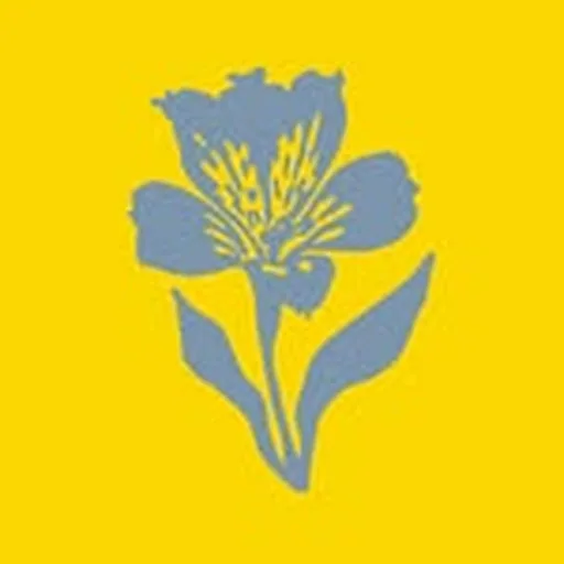 @amancay.musica profile image
