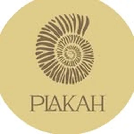 @amoplakah profile image