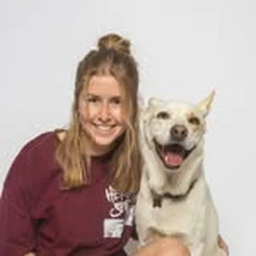@amyybaldwin profile image
