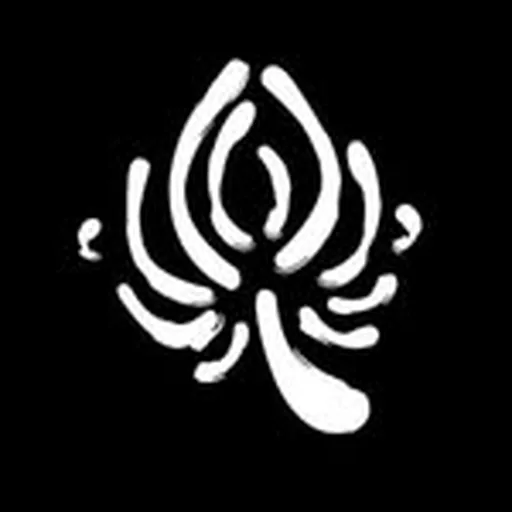 @anemonefilm profile image