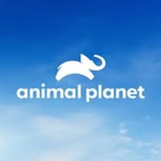 @animalplanet profile image