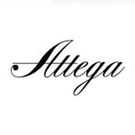 @attega__ profile image