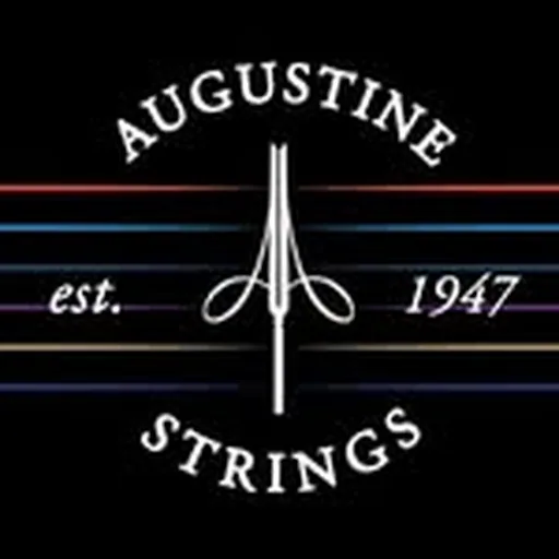 @augustinestrings profile image