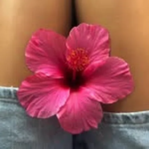 @azucarlyy profile image