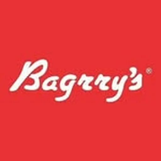 @bagrrys profile image
