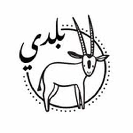 @baladi.baby profile image