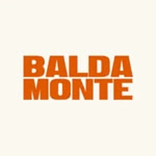 @baldamonte profile image