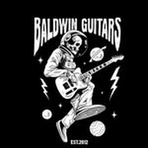 @baldwinguitars profile image