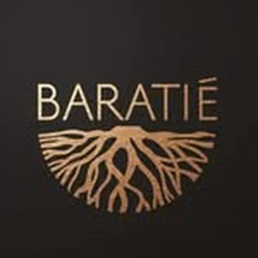 @baratie_sxm profile image