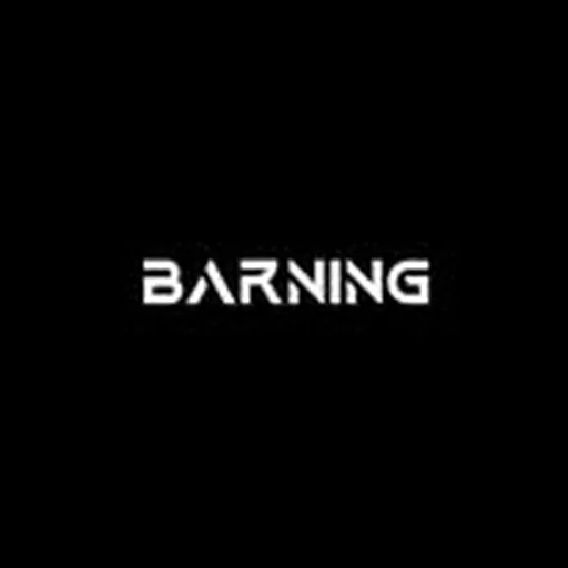 @barning__ profile image