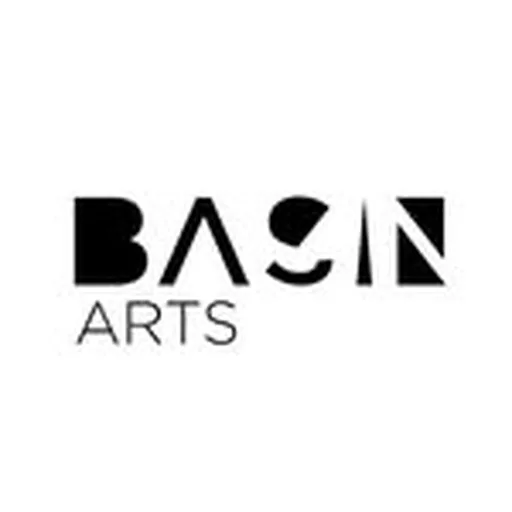 @basinarts profile image