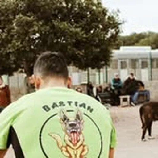 @bastian_adcan profile image