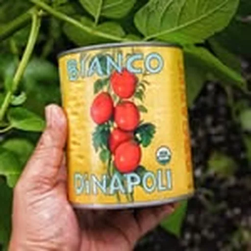 @biancodinapolitomatoes profile image