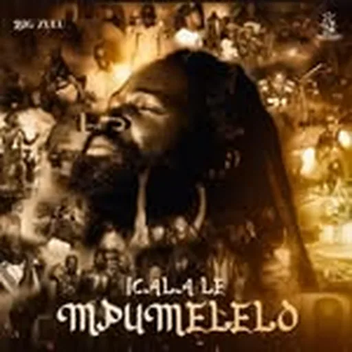 @bigzulu_sa profile image
