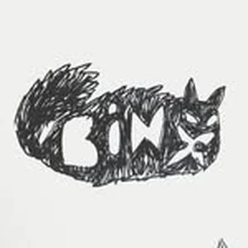 @binx_nyc profile image
