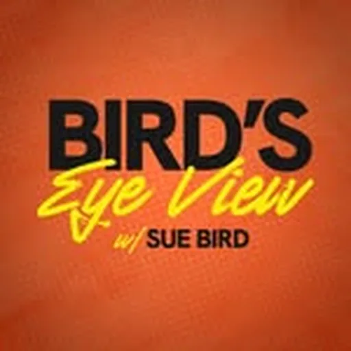 @birdseyeviewpod profile image