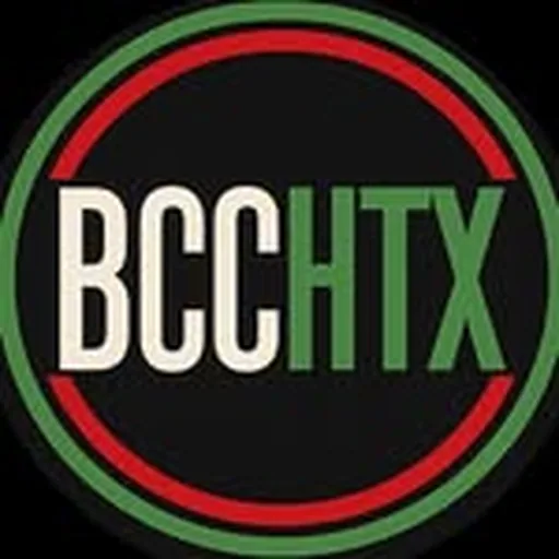 @blackcinemaclubhtx profile image