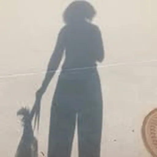 @blackforager profile image