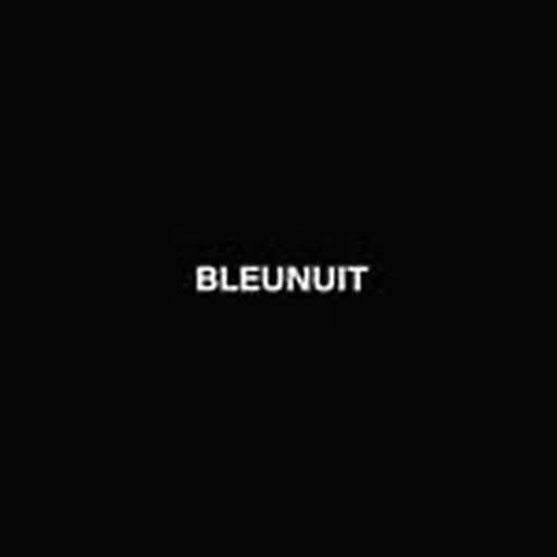 @bleunuit___ profile image