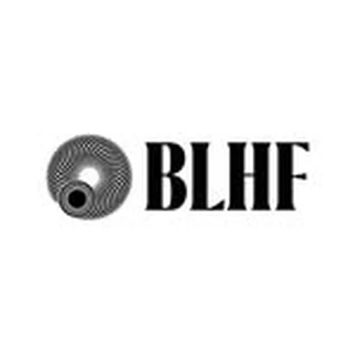@blhensonfoundation profile image