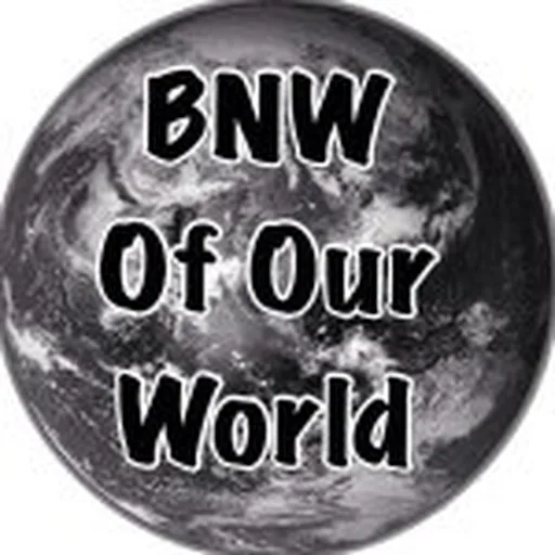 @bnw_of_our_world profile image