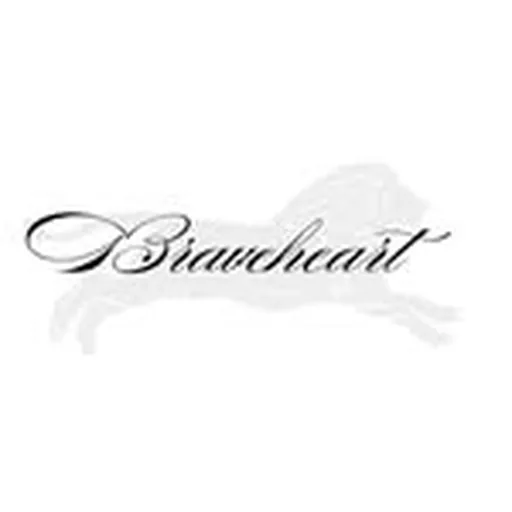 @braveheartministries profile image