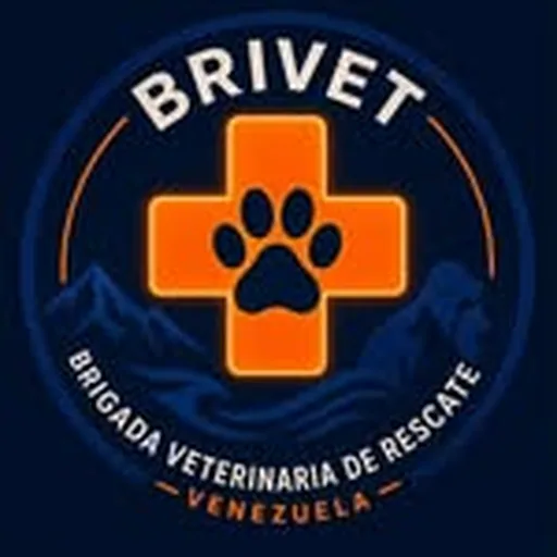@brivet.vzla profile image