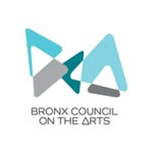 @bronxartsorg profile image