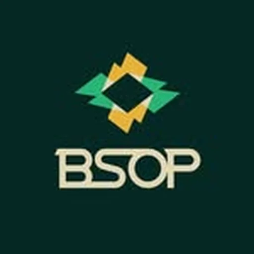 @bsopoficial profile image