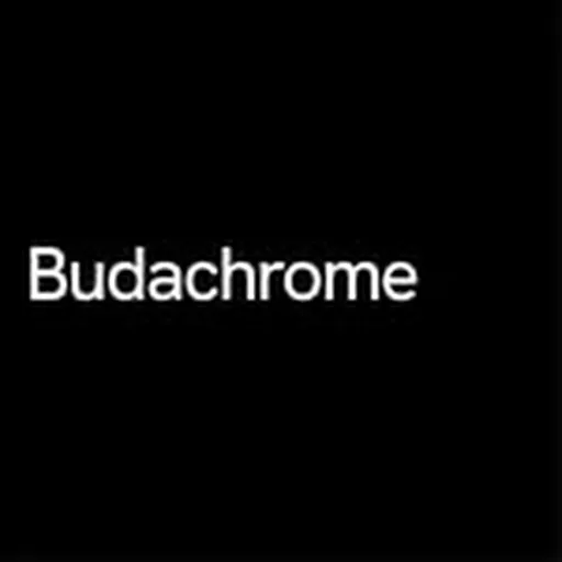 @budachrome profile image