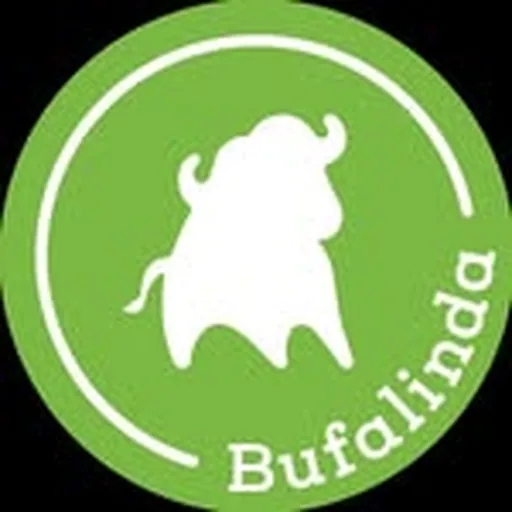 @bufalinda profile image