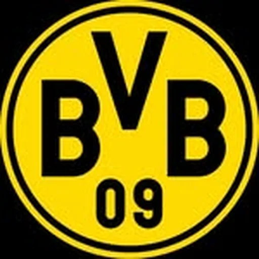 @bvb_handball_damen profile image
