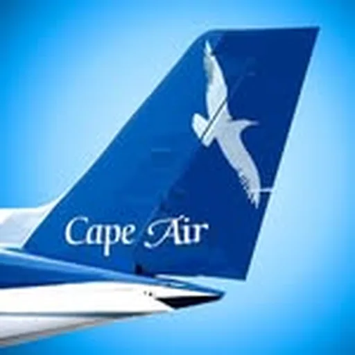 @capeair profile image