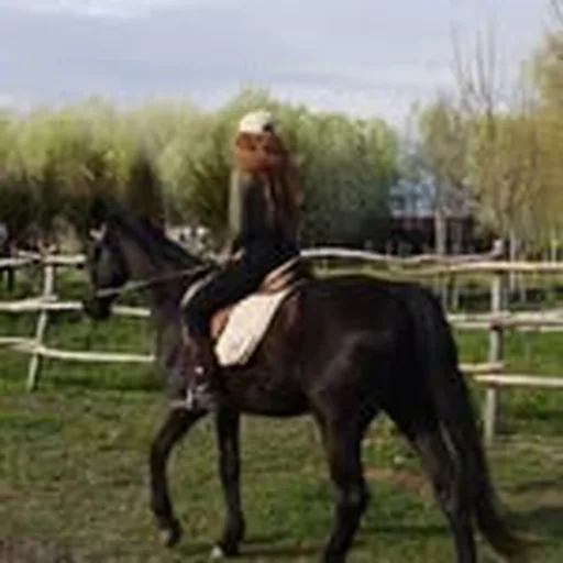@catherine.ernuse profile image
