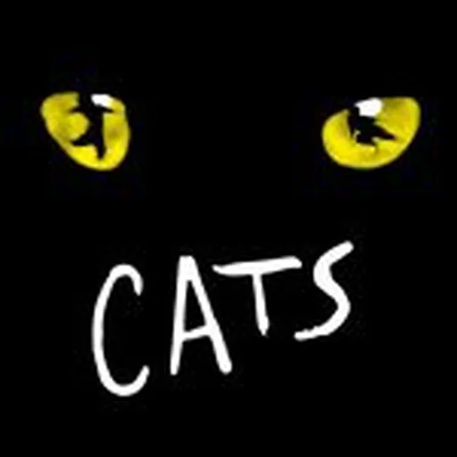 @catsmusical profile image