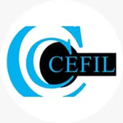@cefilong profile image