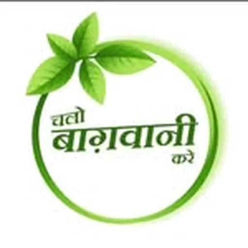 @chalo_bagwani_kare profile image