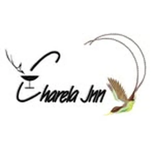 @charelainn profile image