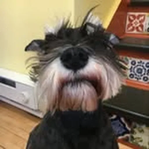 @charlie.parr profile image