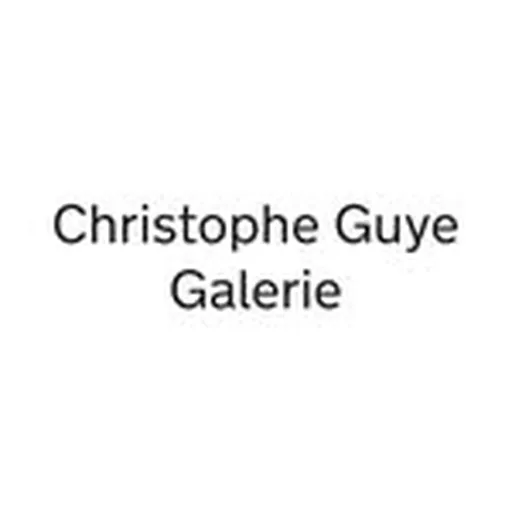 @christopheguyegalerie profile image