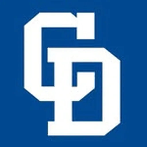 @chunichidragonsofficial profile image