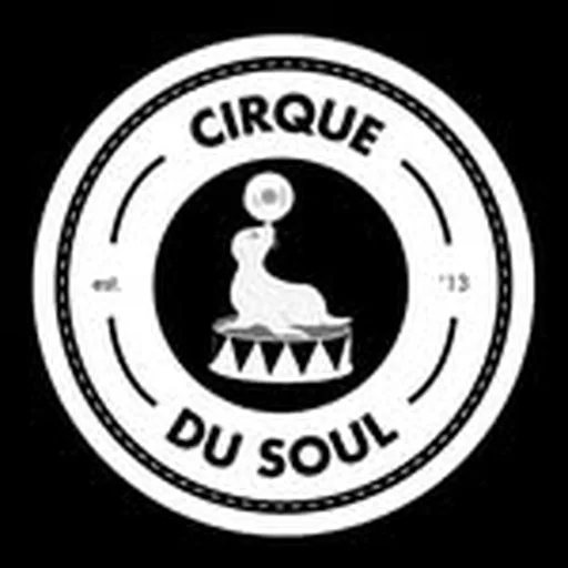 @cirquedusoul profile image