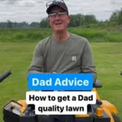 @dadadvicefrombo profile image