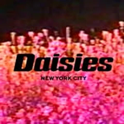 @daisies_nyc profile image