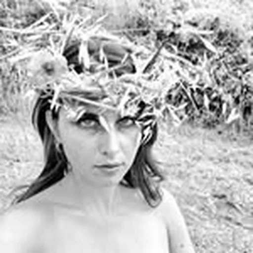 @daphnymph profile image