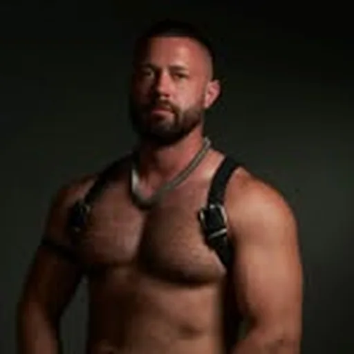 @david__wulf profile image