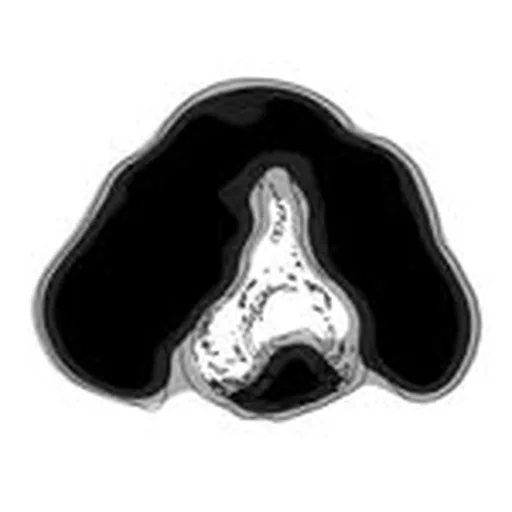 @devastatorbrand profile image